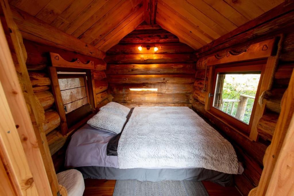 La Cabane Des Colibris Rieupeyroux  Luaran gambar