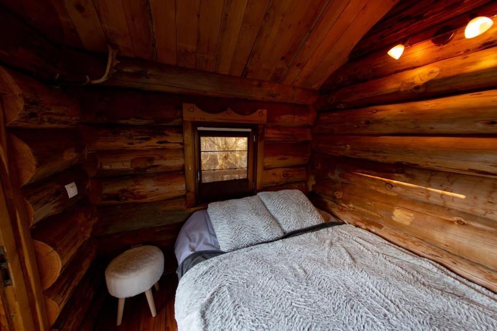 La Cabane Des Colibris Rieupeyroux  Luaran gambar